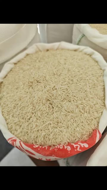 برنج شیرودی ایرانی