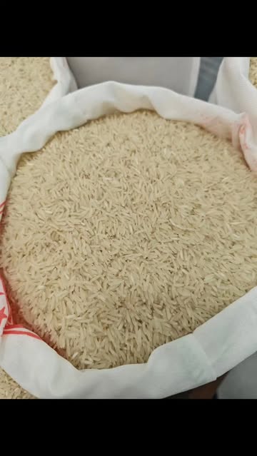 برنج فجر ایرانی